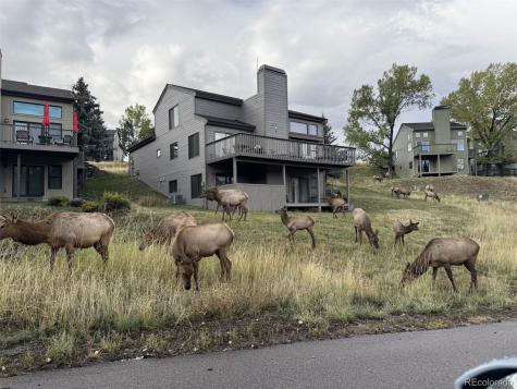 23624 Pondview Place Golden CO 80401