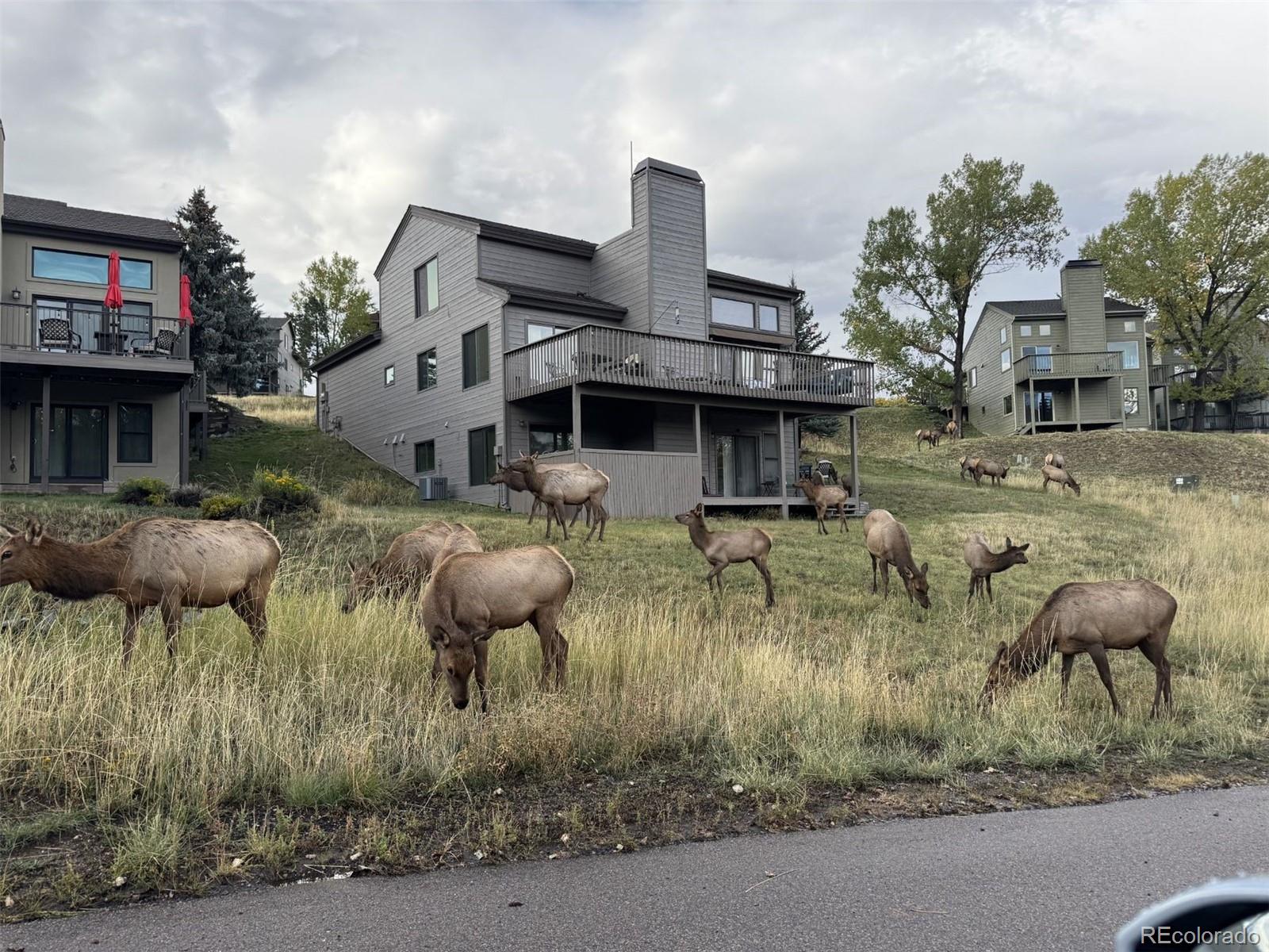 23624 Pondview Place Golden CO 80401