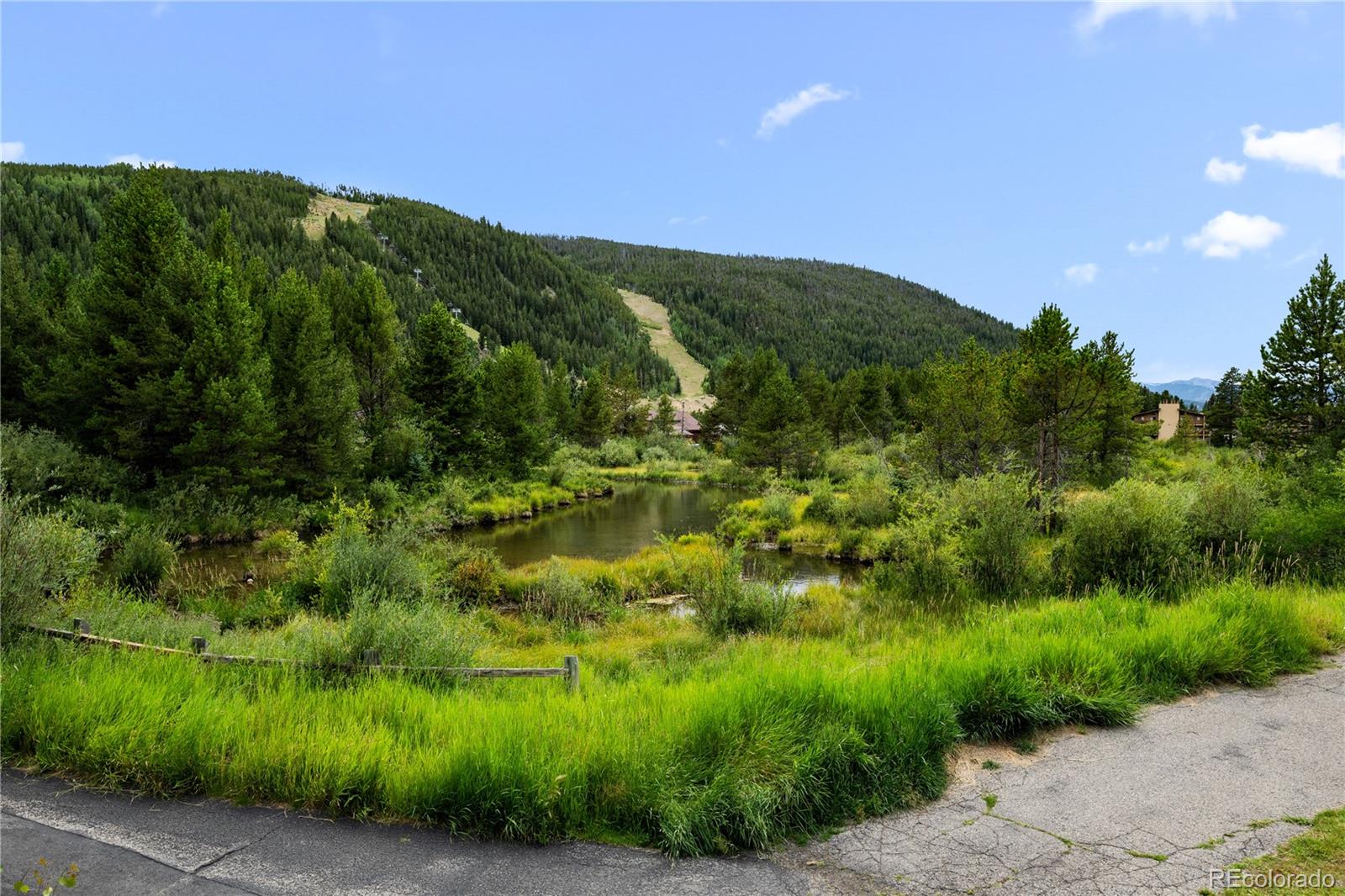 1653 Oro Grande Drive Dillon CO 80435