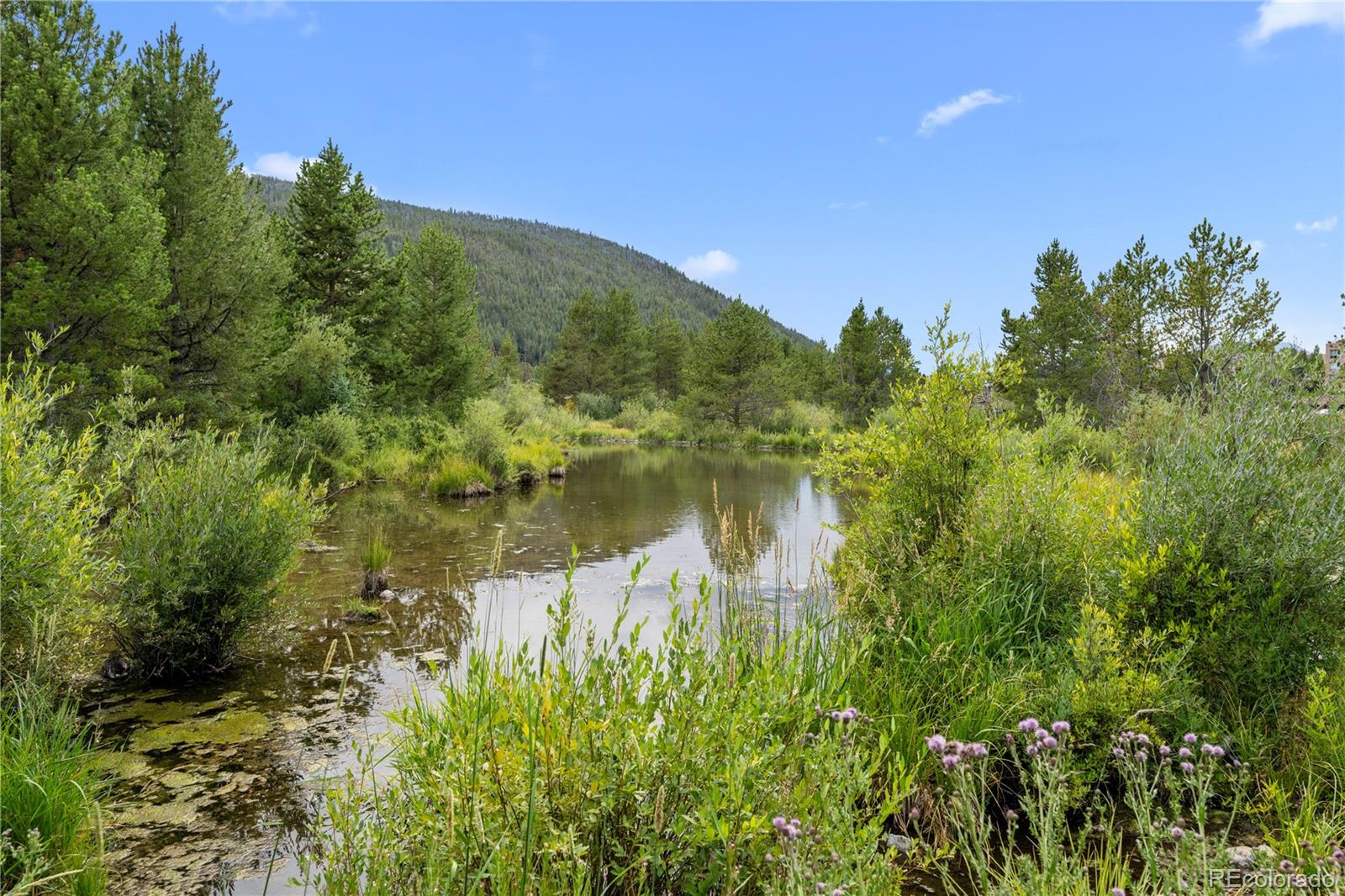 1653 Oro Grande Drive Dillon CO 80435