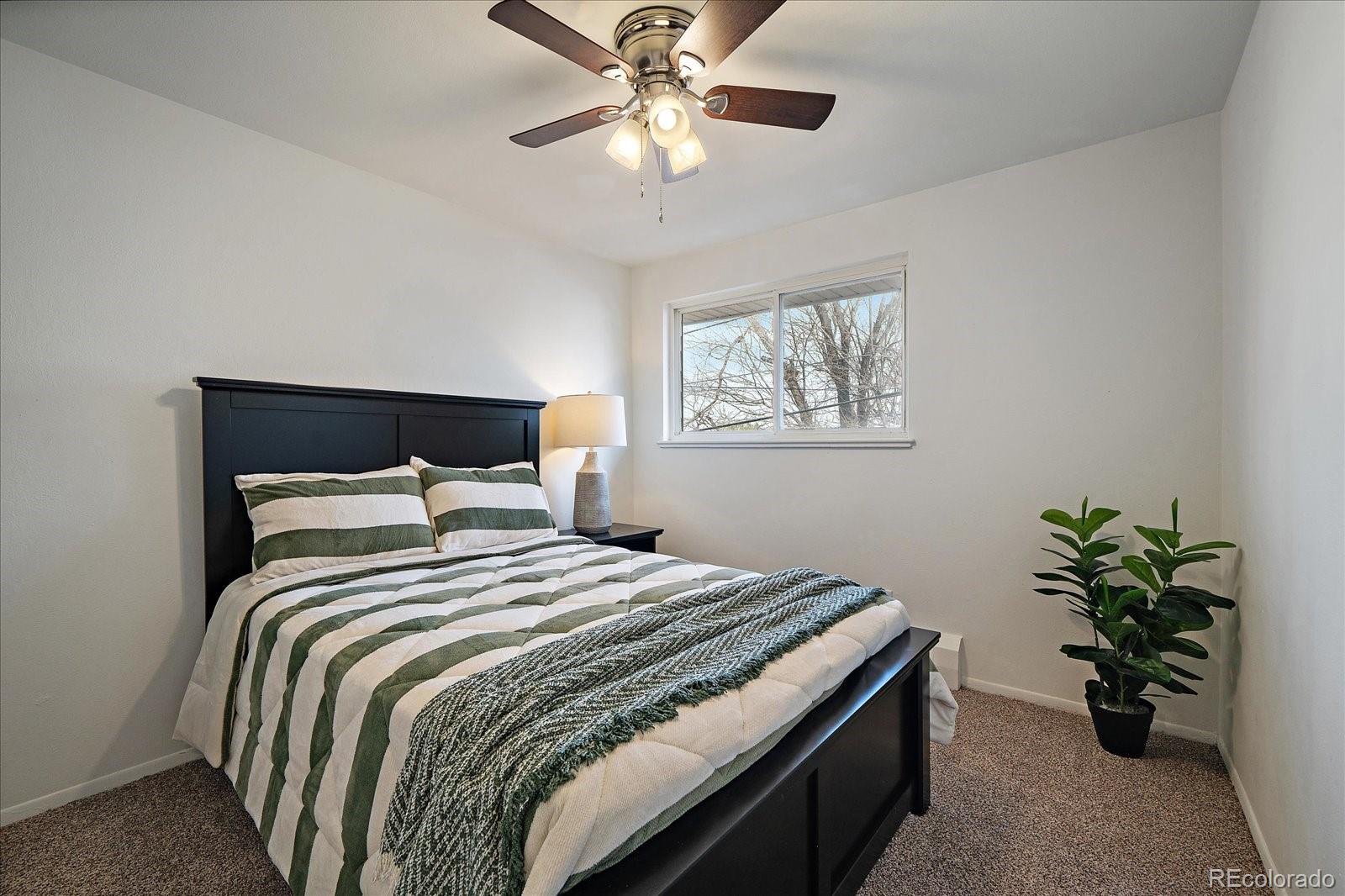 3736 Miller Court Wheat Ridge CO 80033