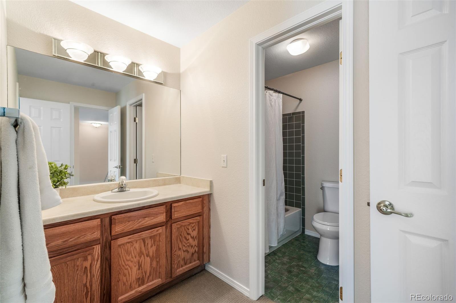 1223 Villa Grove Monument CO 80132