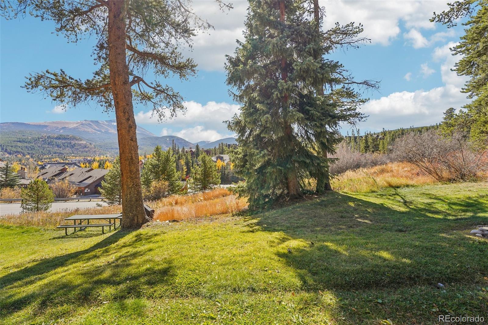 875 Four Oclock Road Breckenridge CO 80424