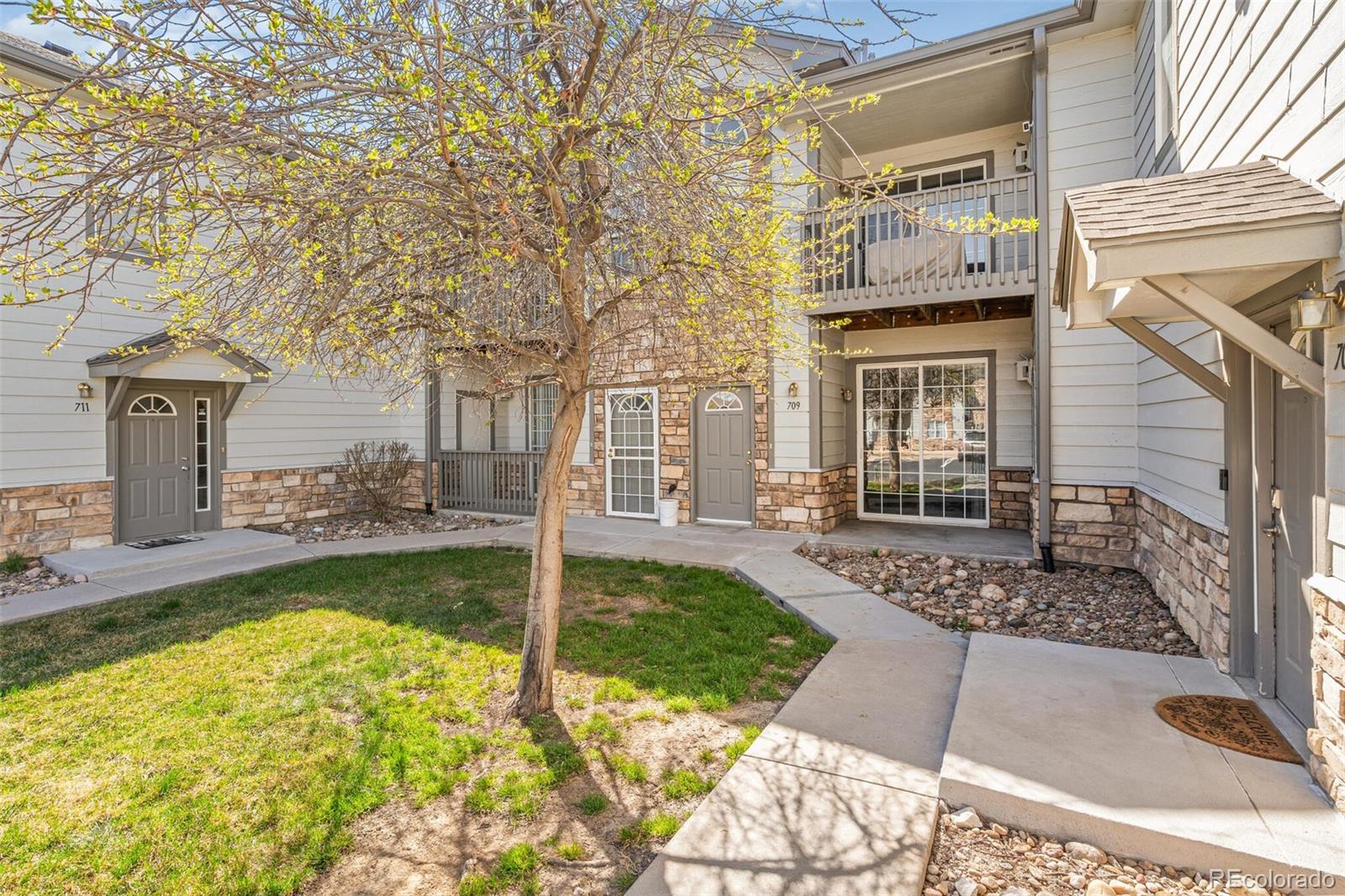 3252 E 103rd Drive Thornton CO 80229