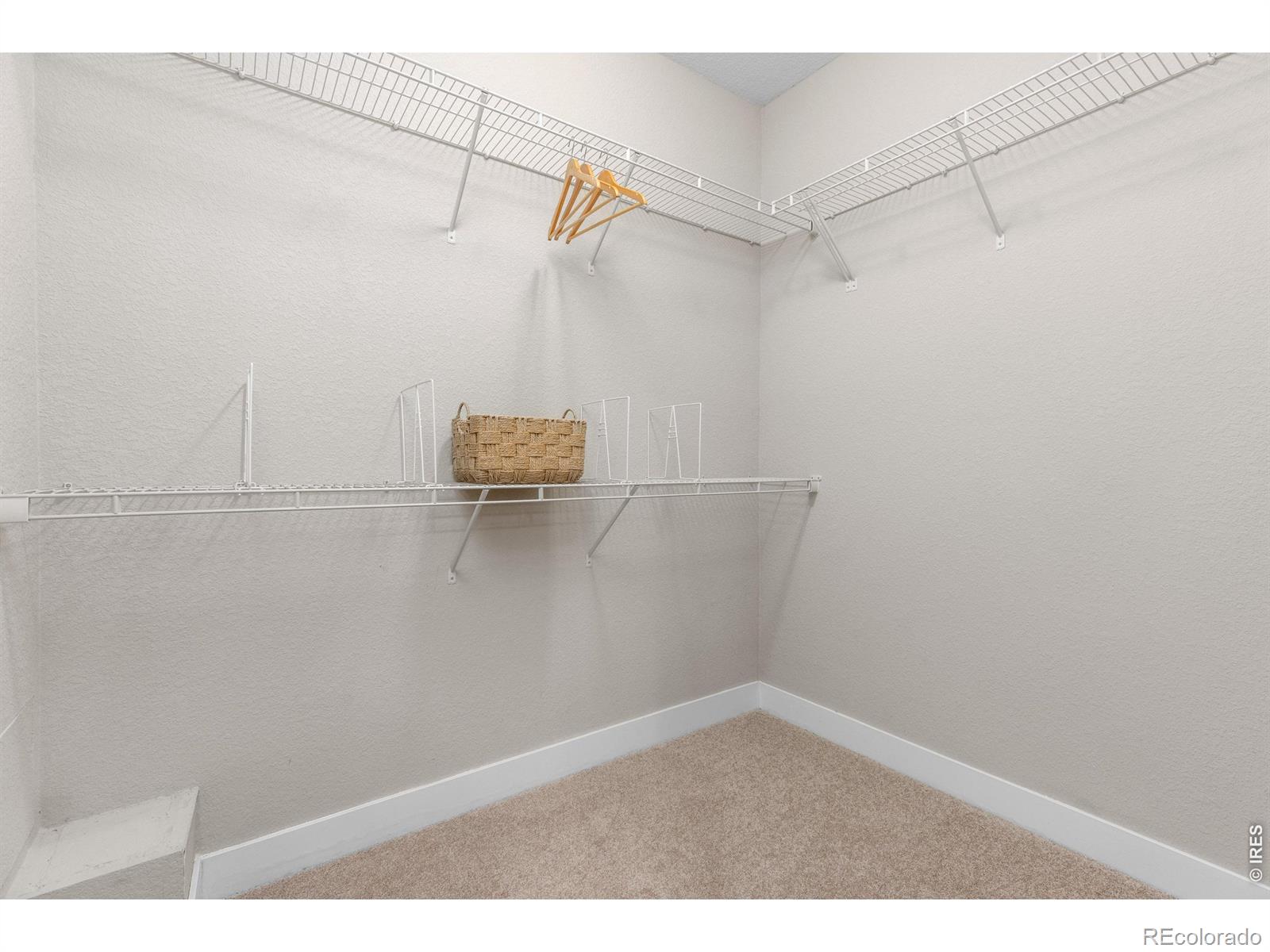 653 Grandview Meadows Drive Longmont CO 80503
