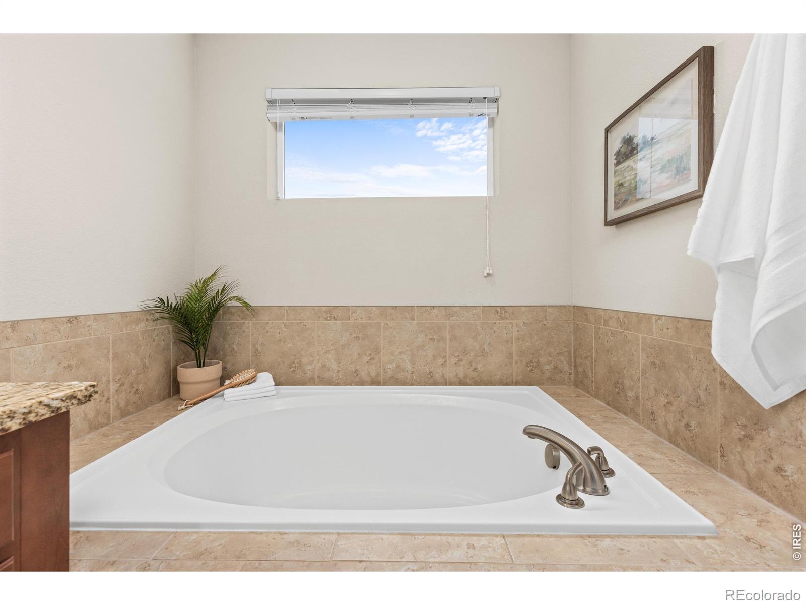 653 Grandview Meadows Drive Longmont CO 80503