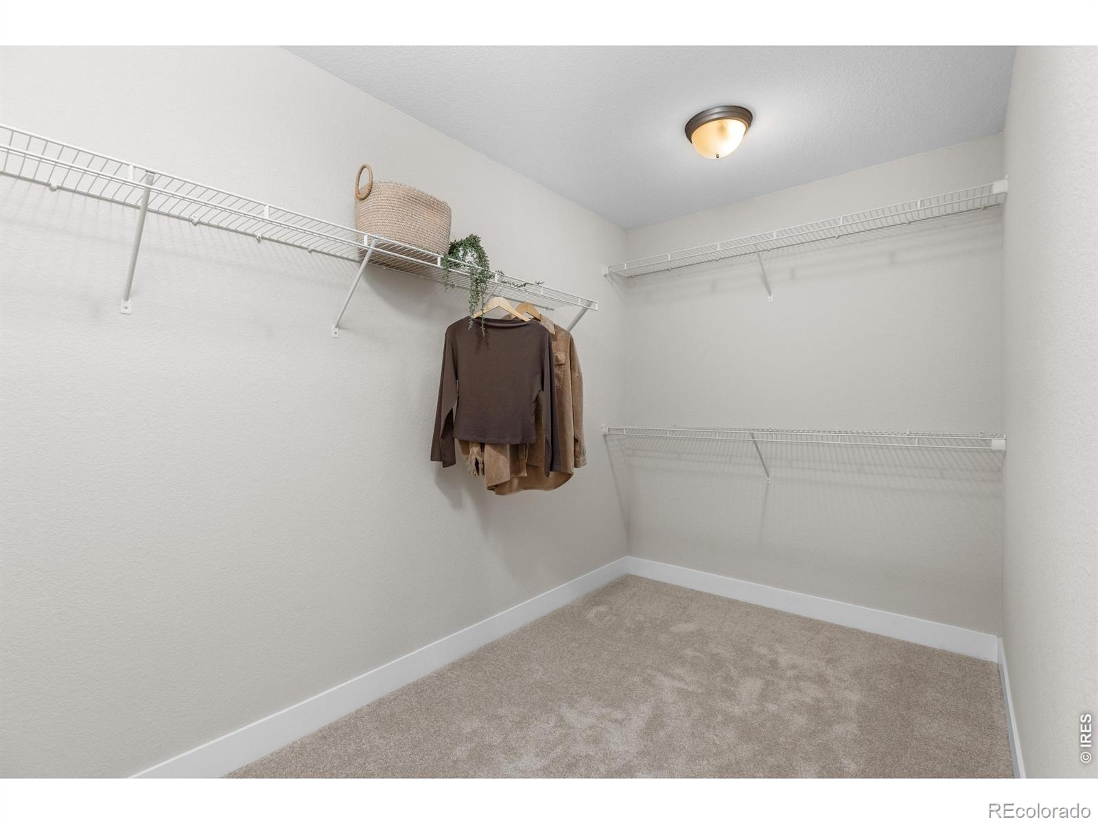 653 Grandview Meadows Drive Longmont CO 80503