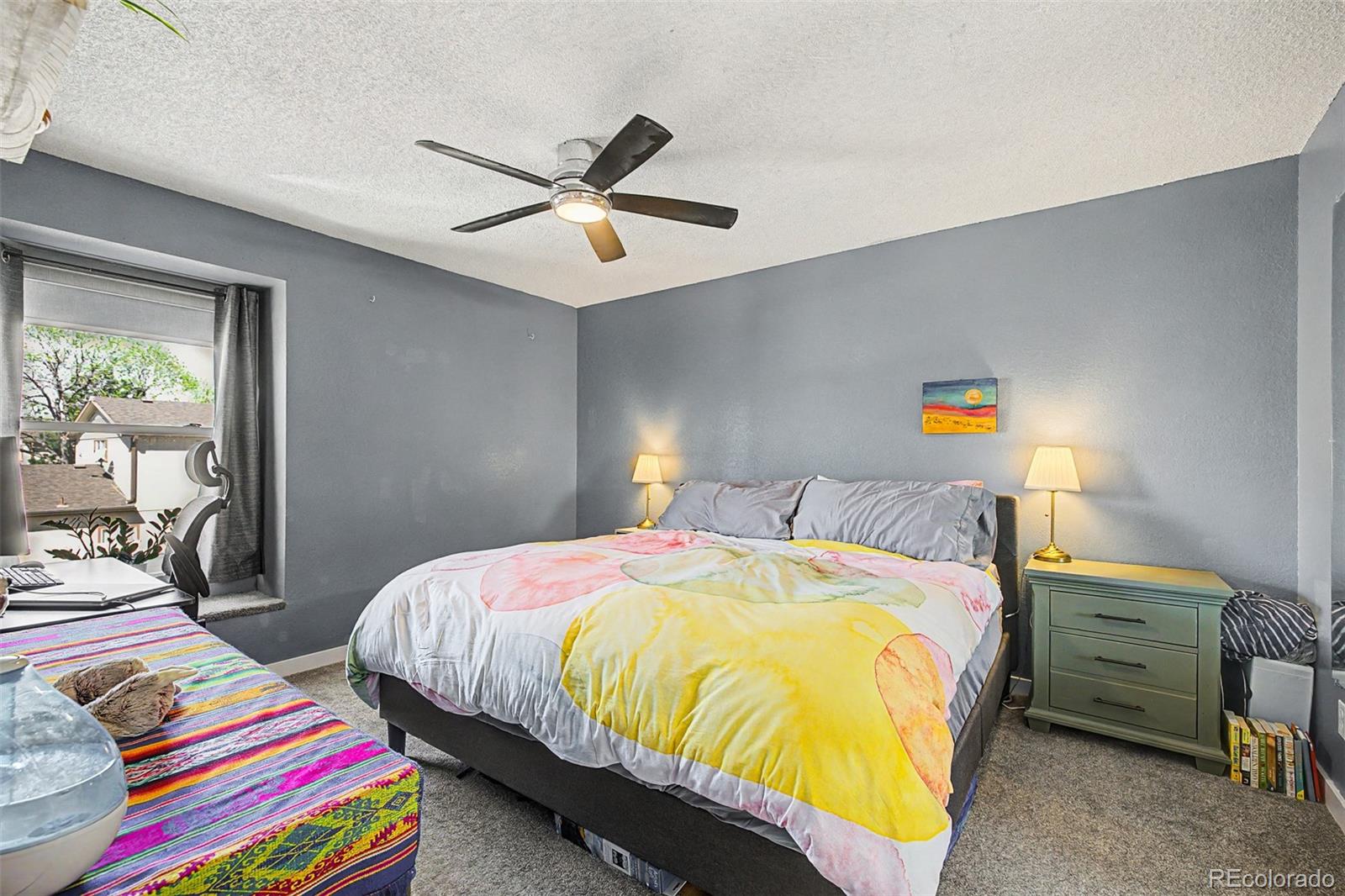 2427 Rainbow Drive Denver CO 80229