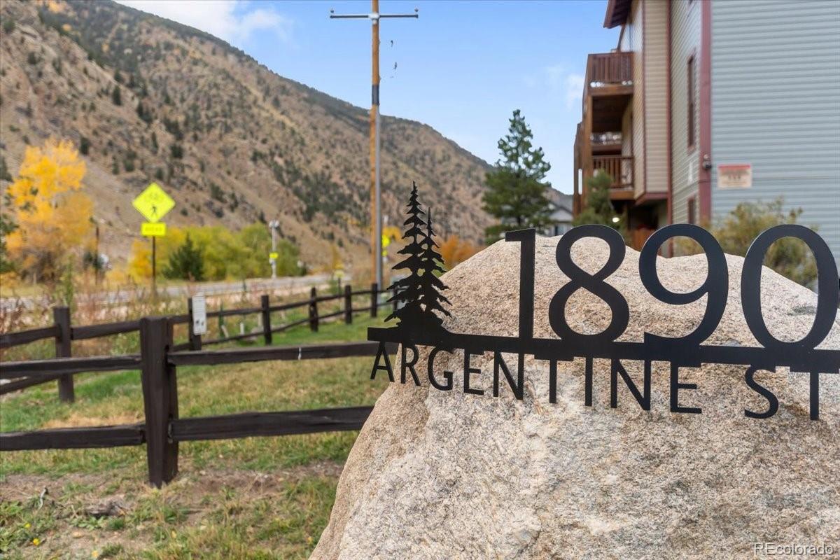 1890 Argentine Street Georgetown CO 80444