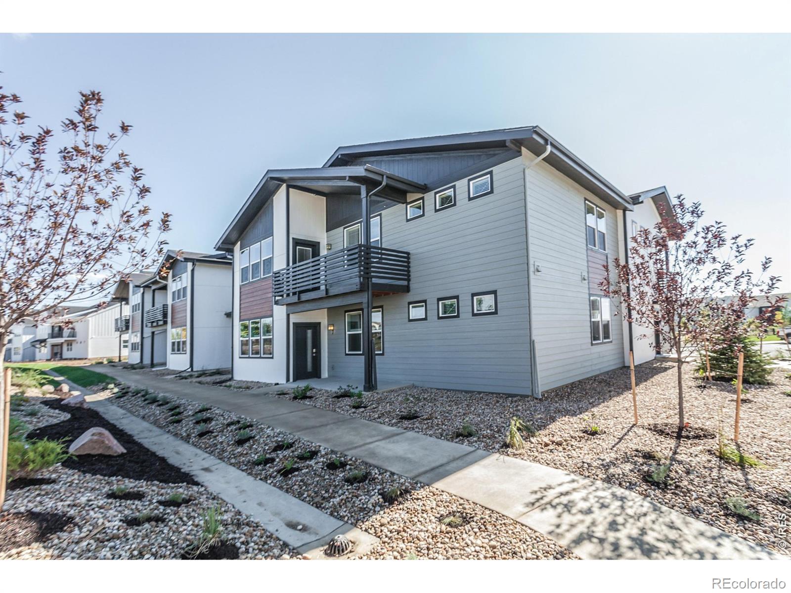 1825 Bounty Drive Windsor CO 80550