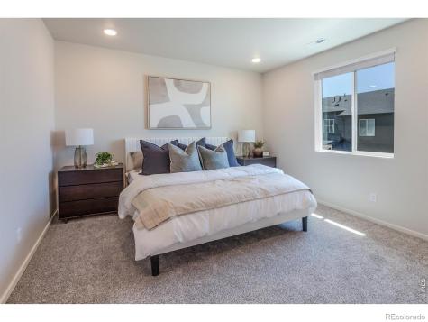 1825 Bounty Drive Windsor CO 80550