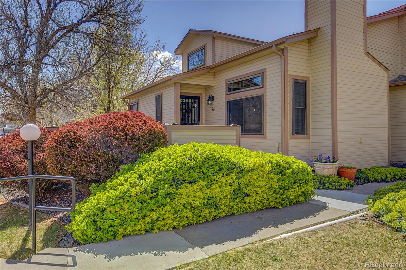 9115 W Cedar Drive Lakewood CO 80226