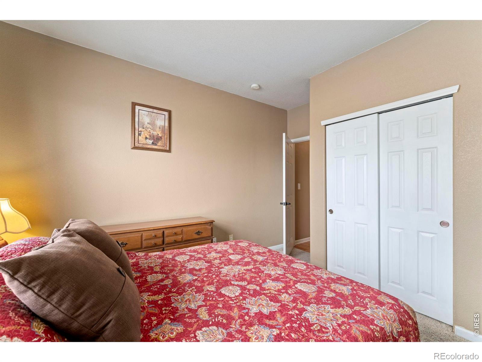 3606 Ponderosa Court Evans CO 80620