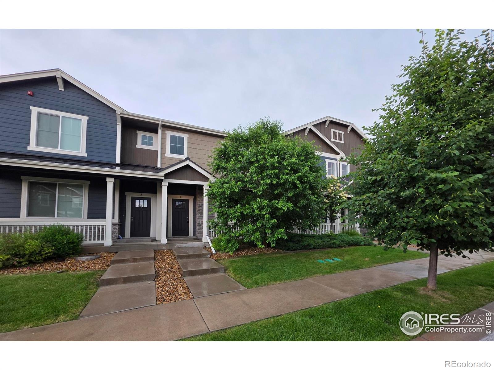 3514 Big Ben Drive Fort Collins CO 80526