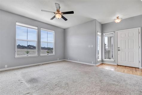 17099 Blue Mist Grove Monument CO 80132