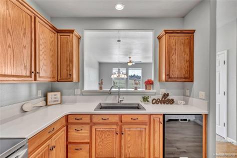 17099 Blue Mist Grove Monument CO 80132