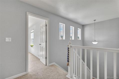 17099 Blue Mist Grove Monument CO 80132