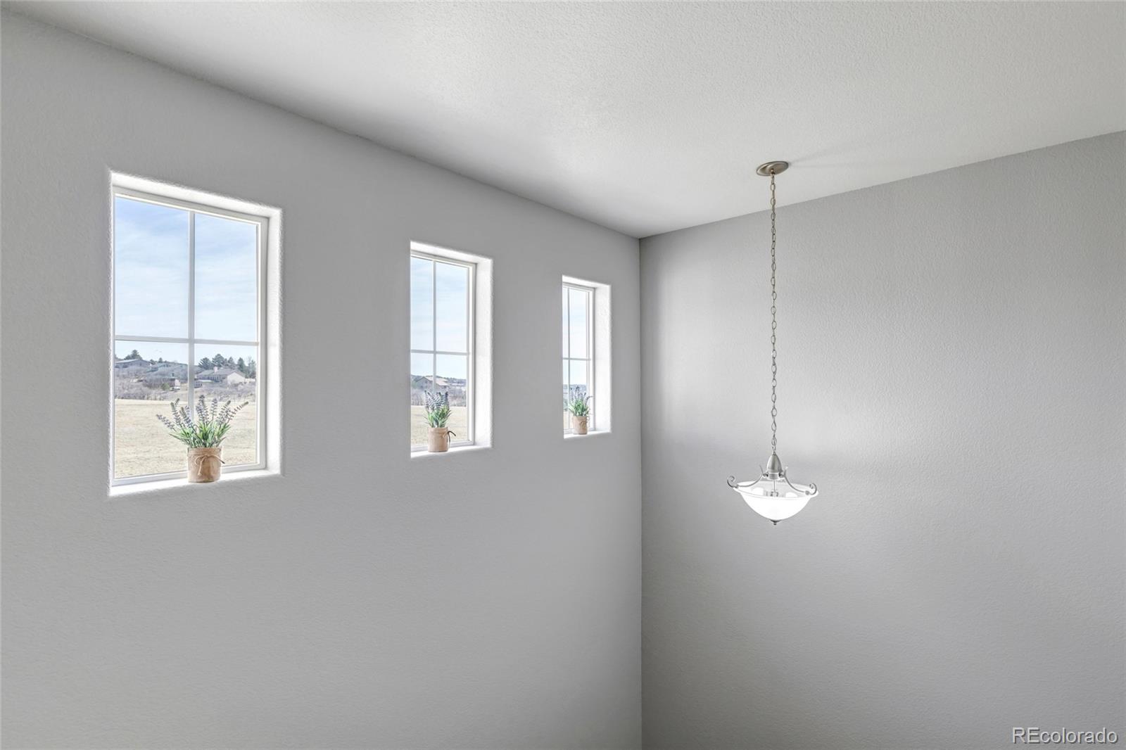 17099 Blue Mist Grove Monument CO 80132