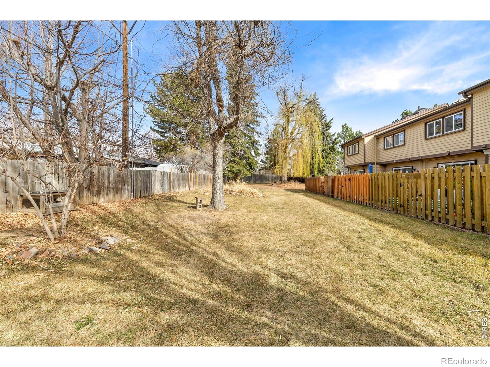 985 W 10th Street Loveland CO 80537