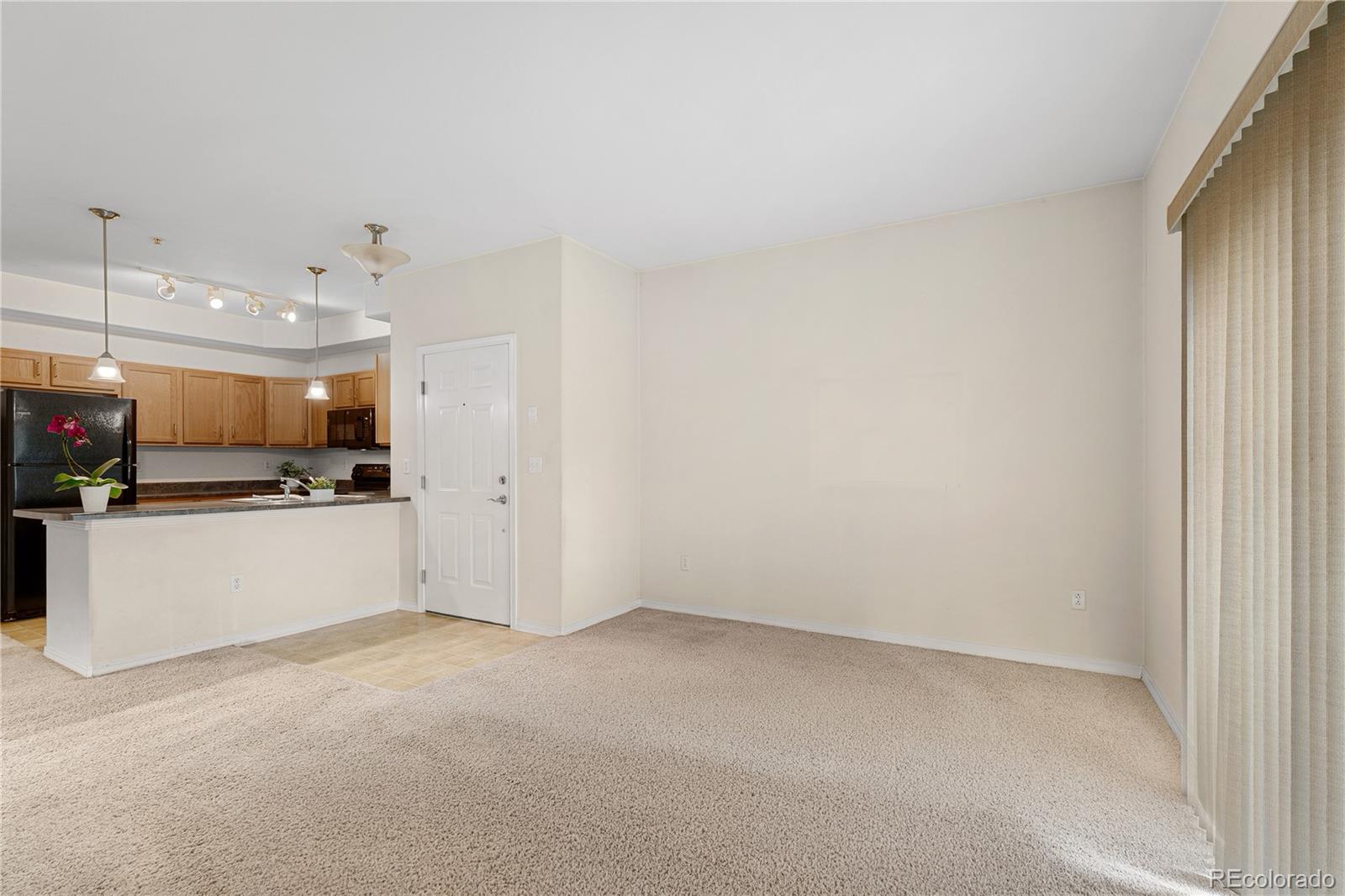 8726 S Kline Street Littleton CO 80127