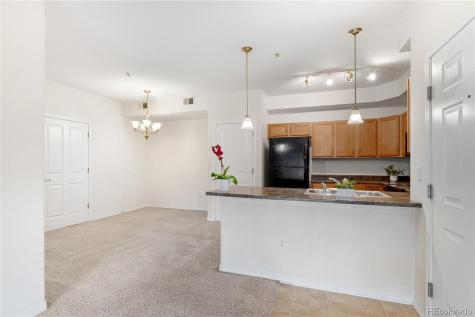 8726 S Kline Street Littleton CO 80127