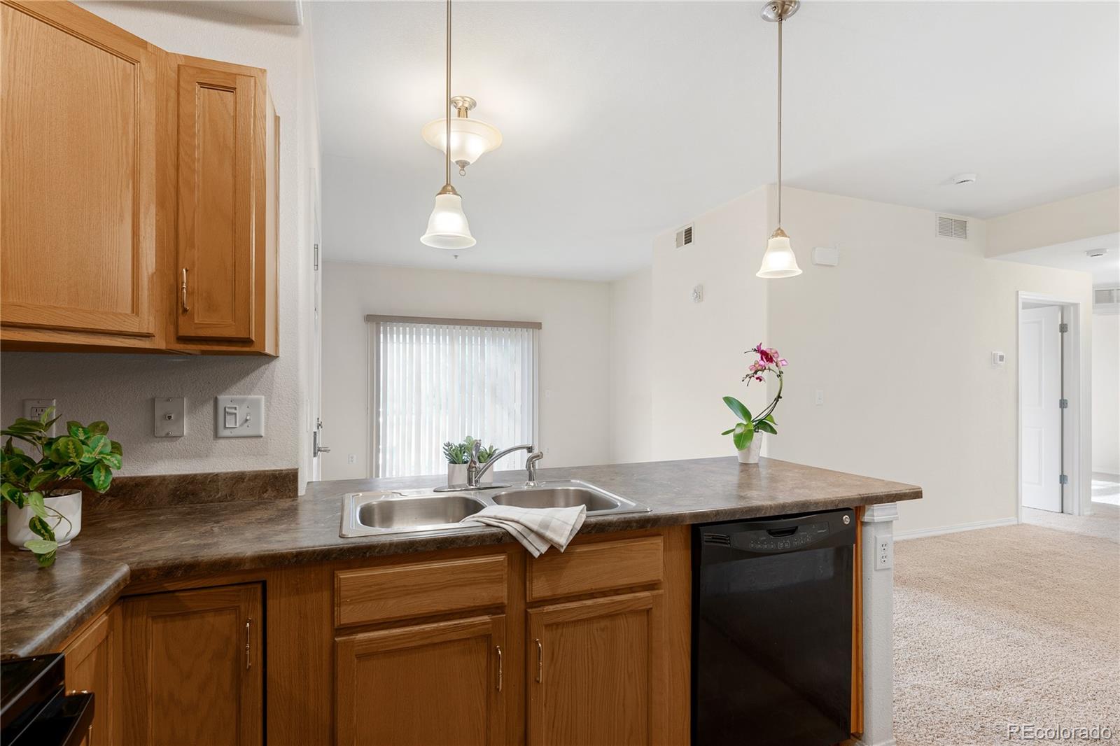 8726 S Kline Street Littleton CO 80127
