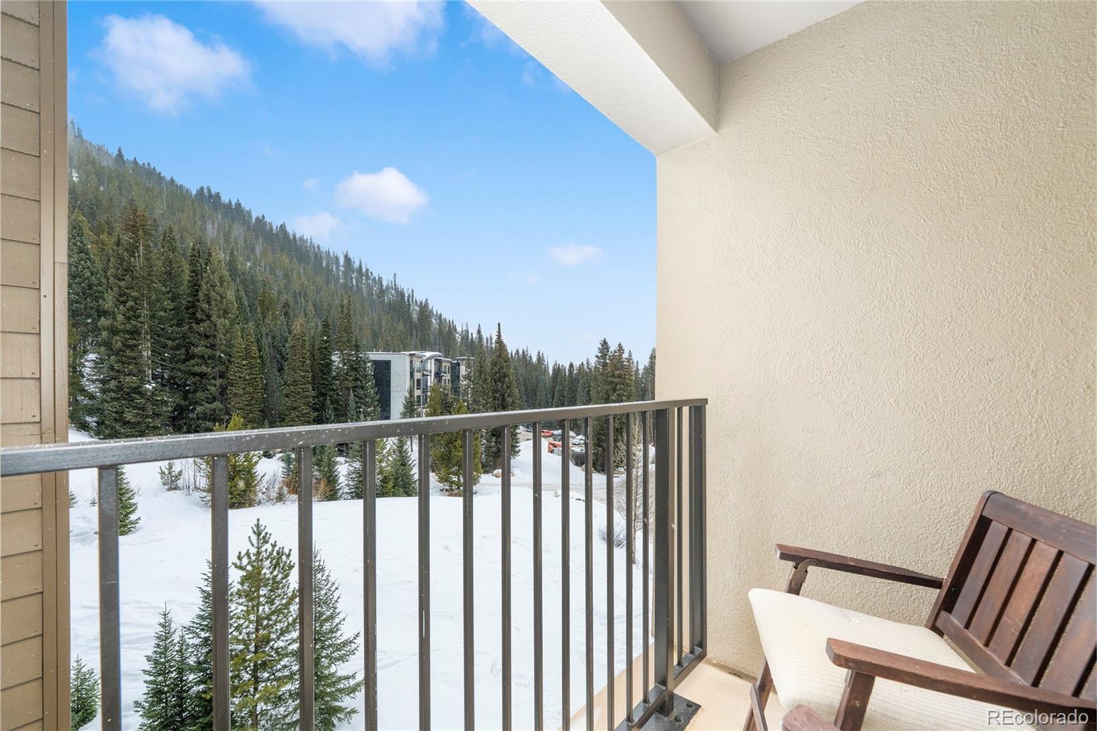 310 Iron Horse Way Winter Park CO 80482