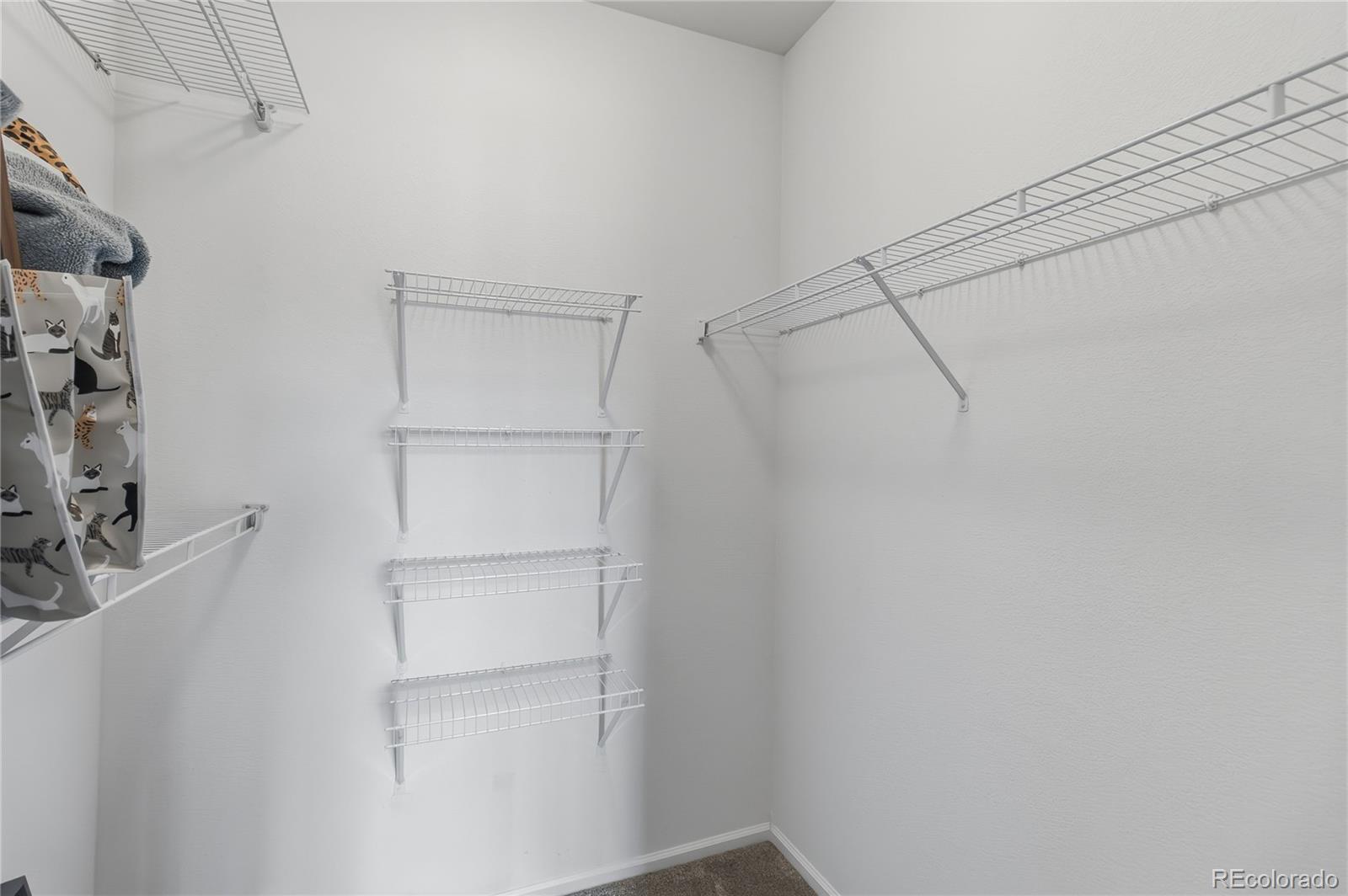 17525 Wilde Avenue Parker CO 80134