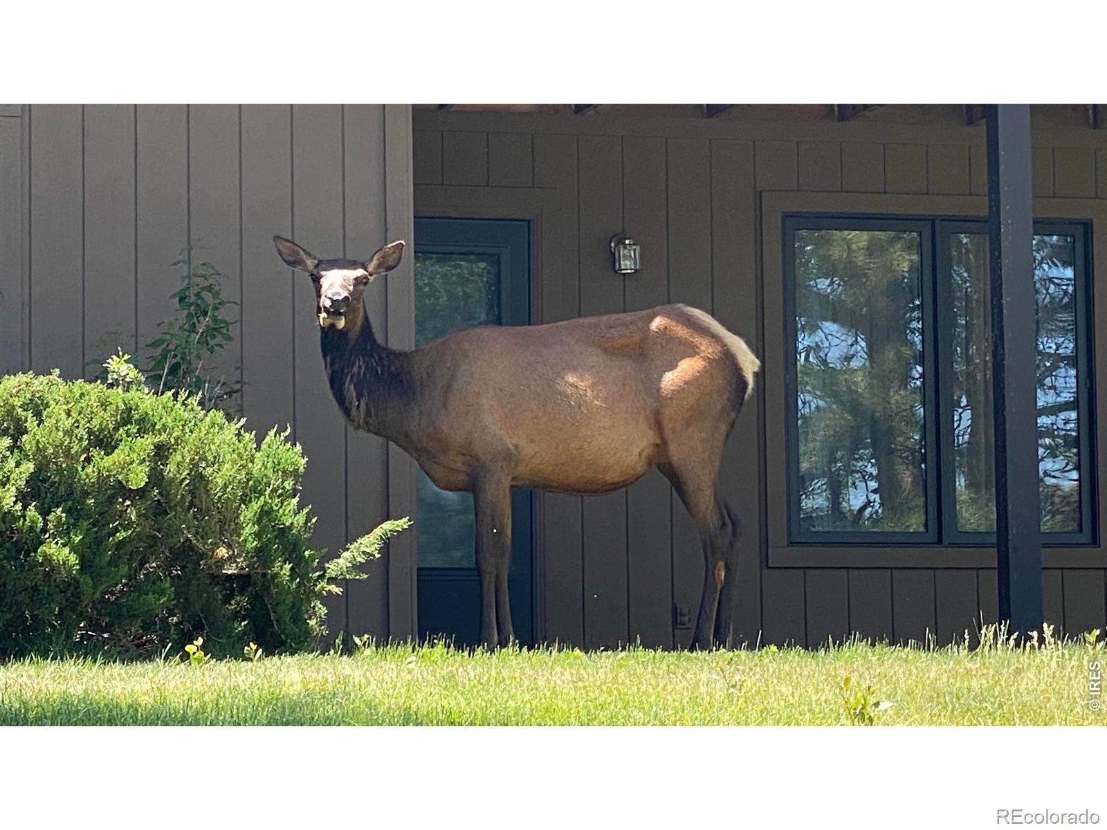 1141 Fairway Club Circle Estes Park CO 80517