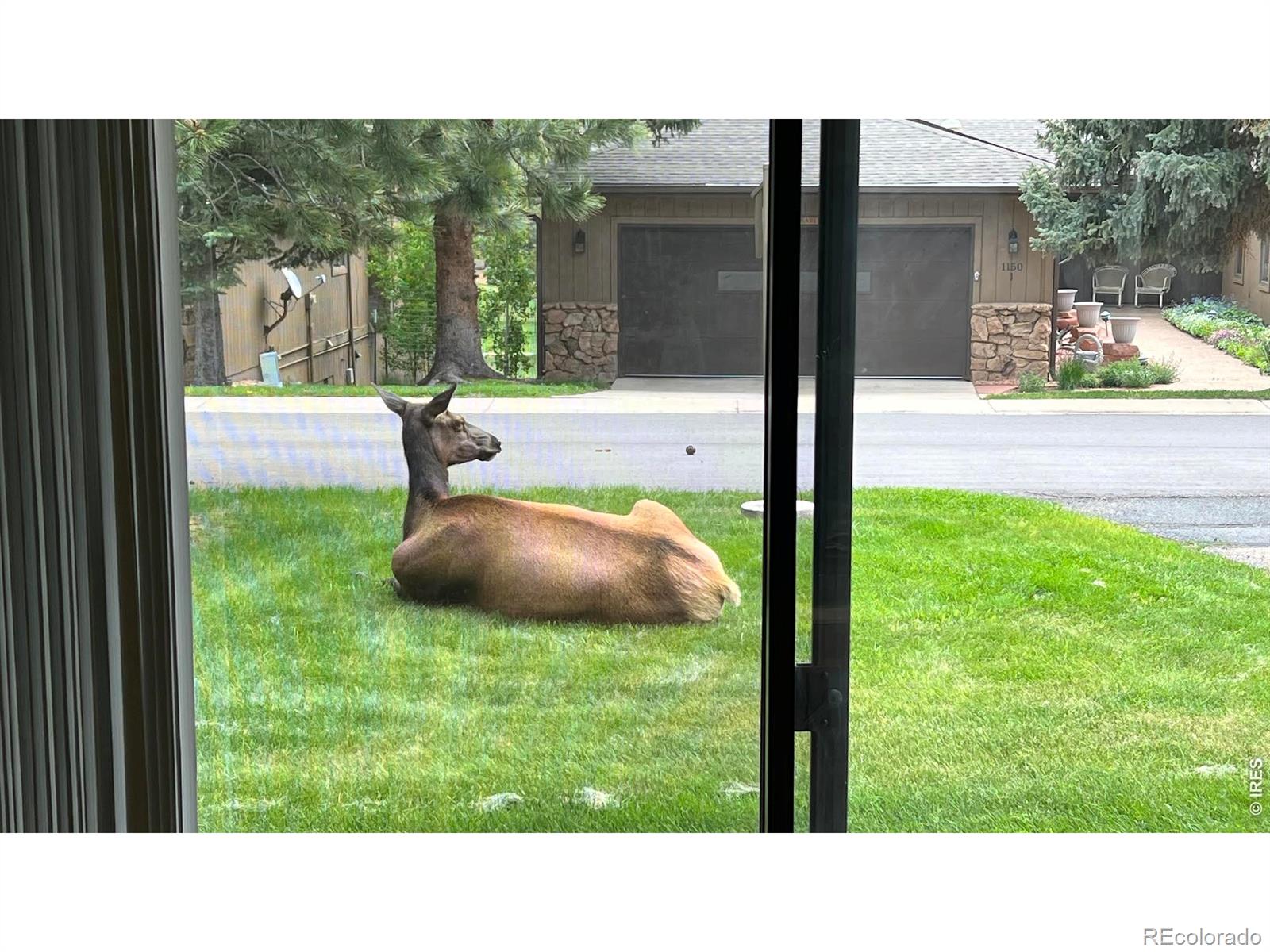 1141 Fairway Club Circle Estes Park CO 80517