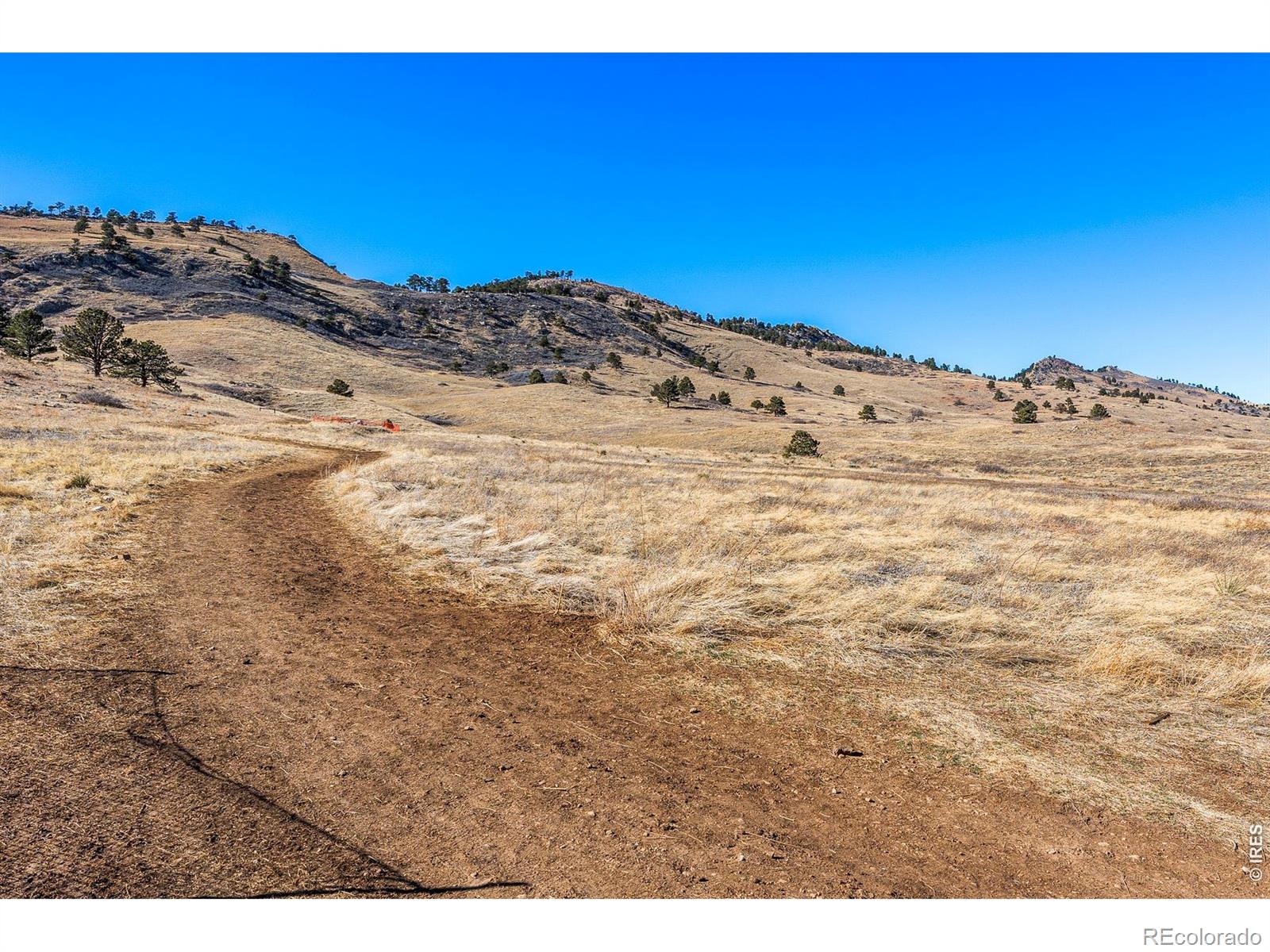 1310 Rosewood Avenue Boulder CO 80304