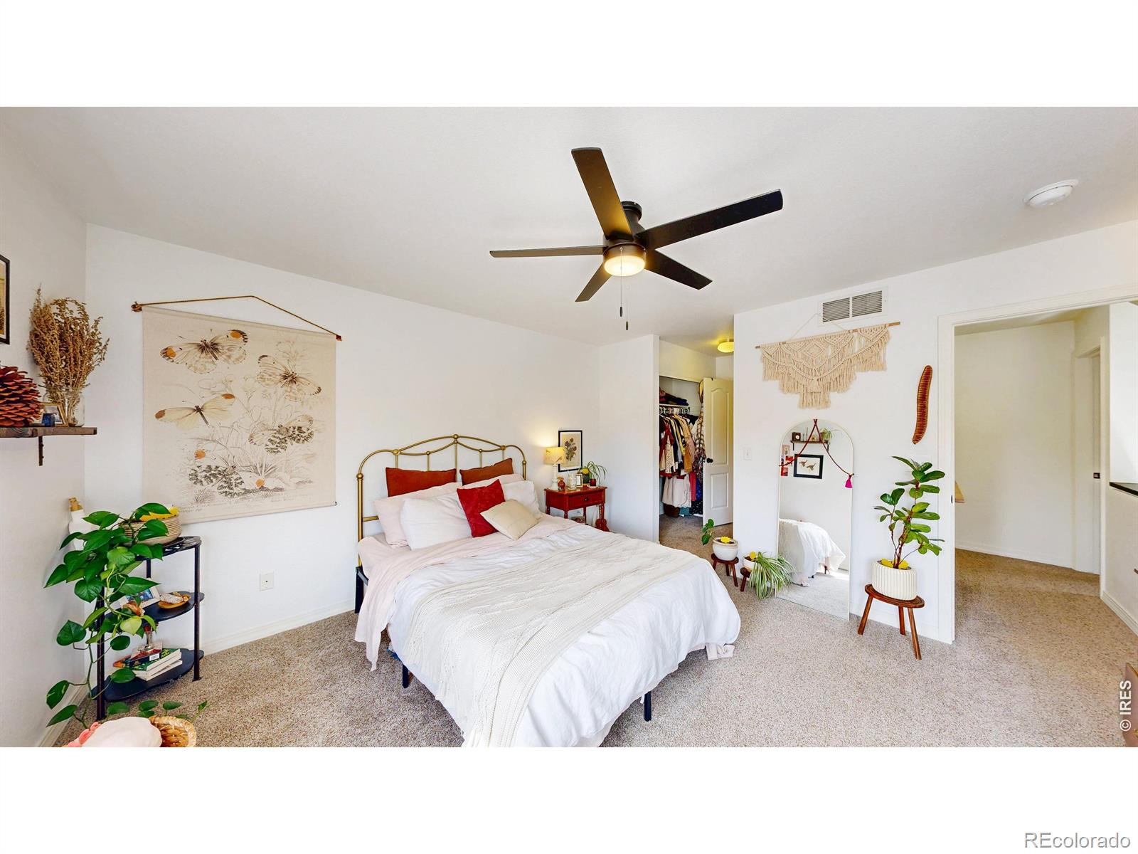 6603 Antigua Drive Fort Collins CO 80525