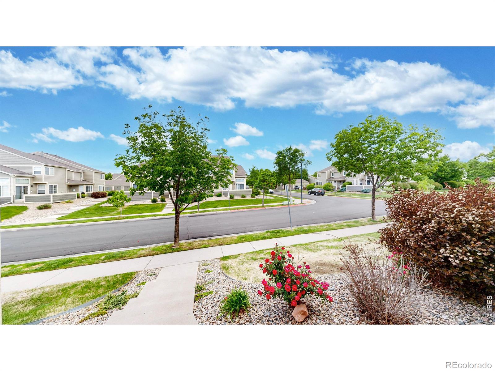 6603 Antigua Drive Fort Collins CO 80525