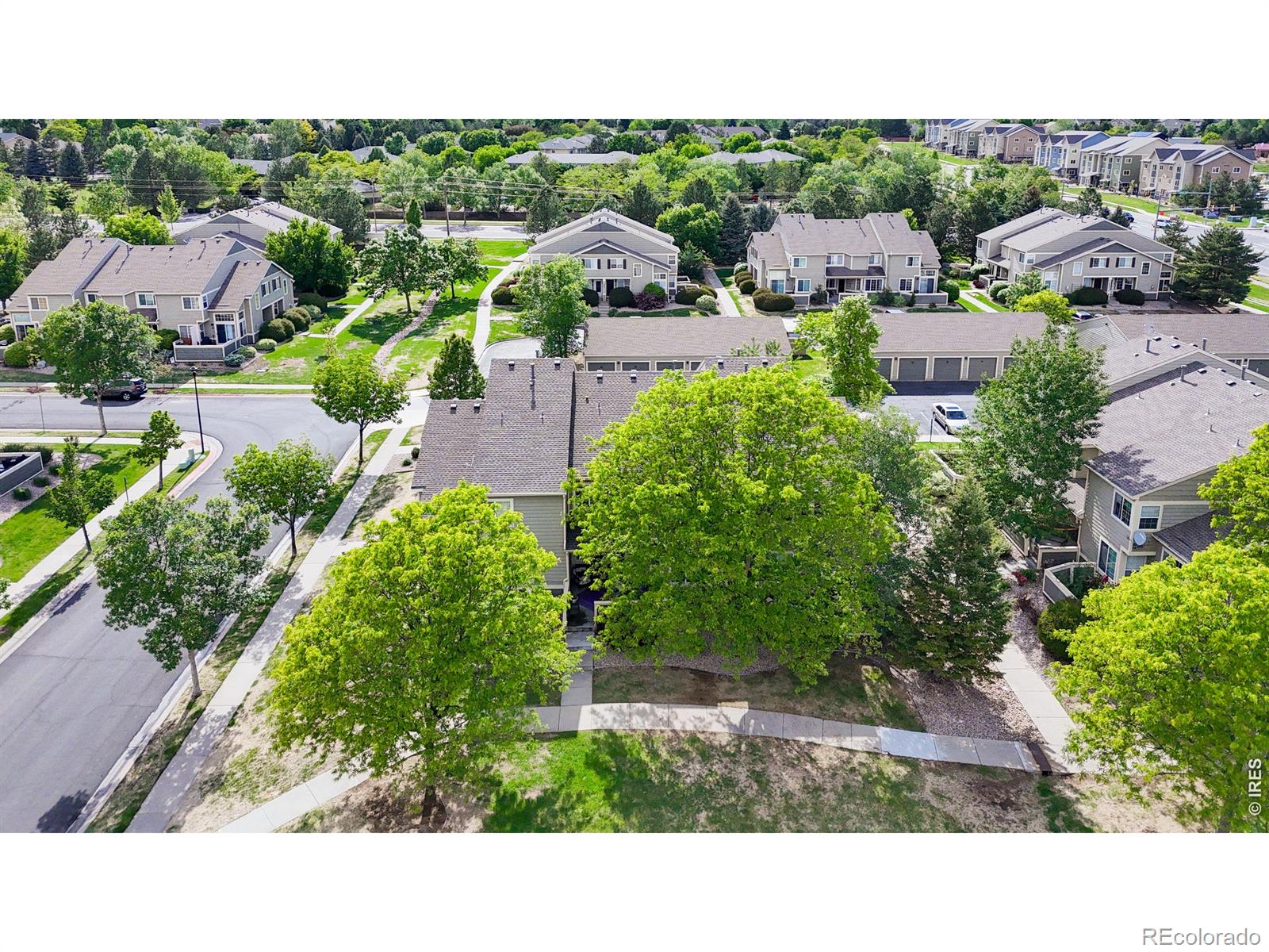 6603 Antigua Drive Fort Collins CO 80525