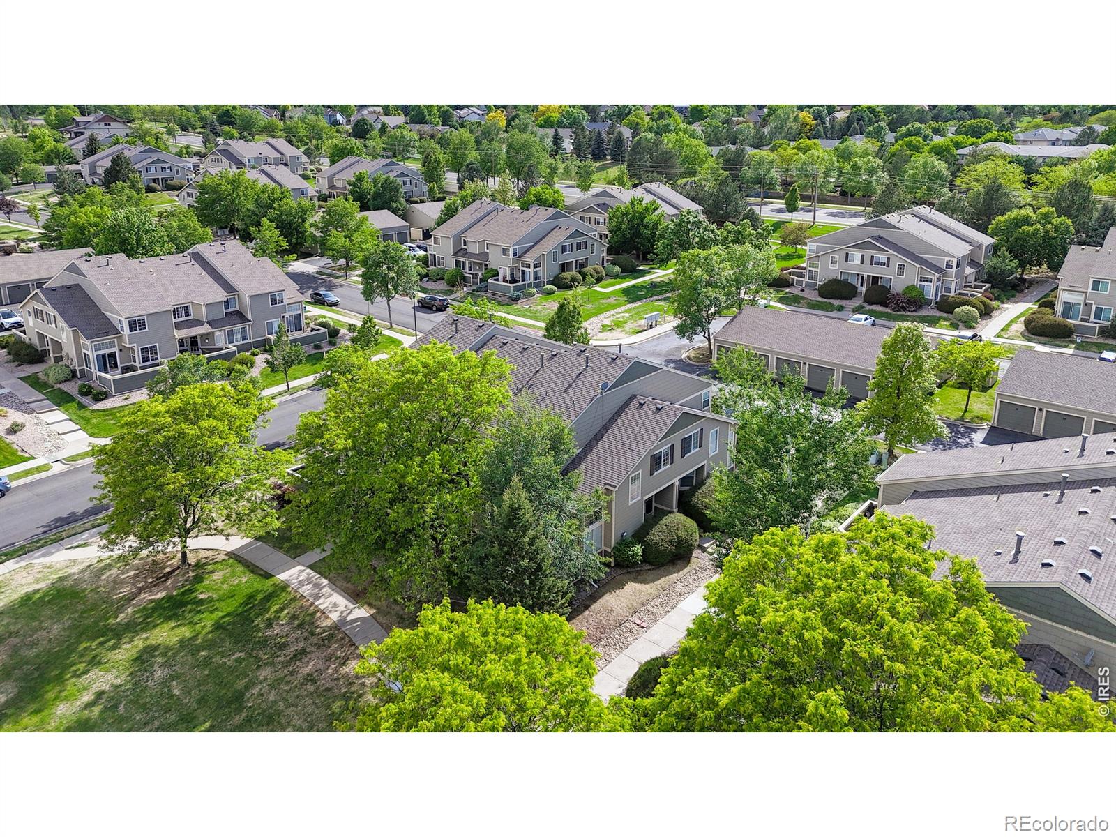 6603 Antigua Drive Fort Collins CO 80525