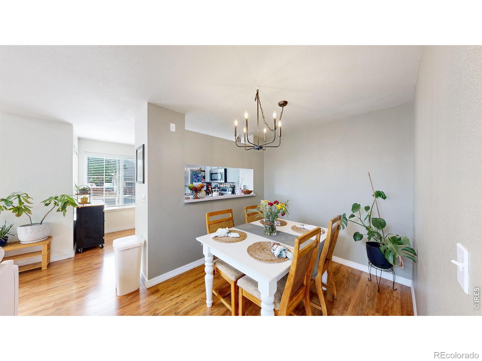 6603 Antigua Drive Fort Collins CO 80525