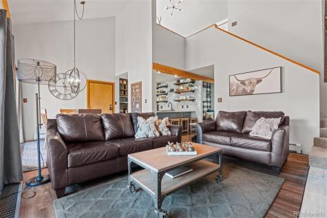 91100 Ryan Gulch Road Silverthorne CO 80498