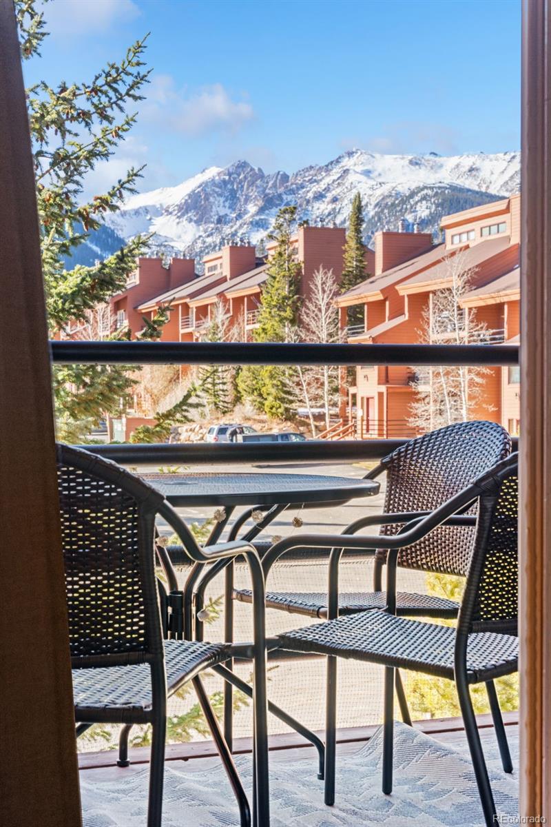 91100 Ryan Gulch Road Silverthorne CO 80498