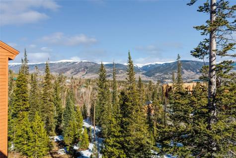 91100 Ryan Gulch Road Silverthorne CO 80498