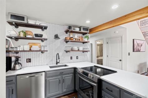 91100 Ryan Gulch Road Silverthorne CO 80498