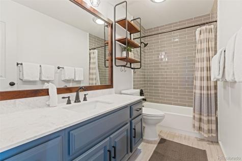 91100 Ryan Gulch Road Silverthorne CO 80498