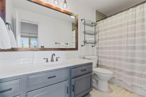 91100 Ryan Gulch Road Silverthorne CO 80498