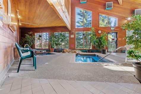 91100 Ryan Gulch Road Silverthorne CO 80498