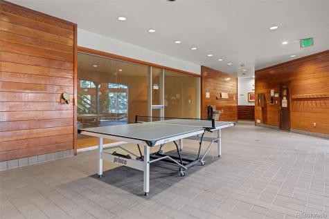 91100 Ryan Gulch Road Silverthorne CO 80498