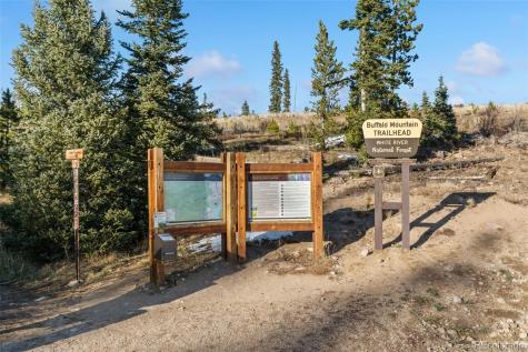 91100 Ryan Gulch Road Silverthorne CO 80498