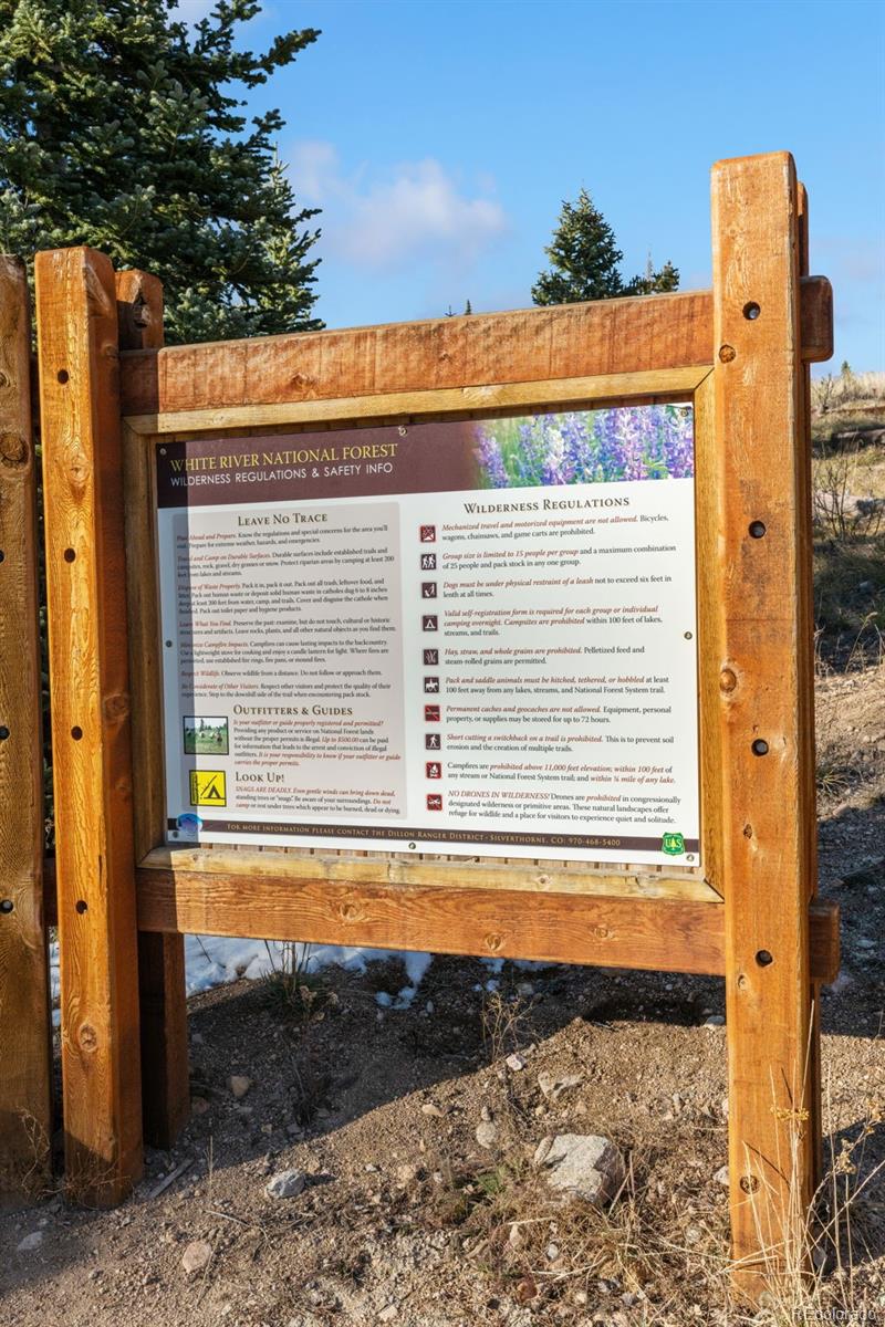 91100 Ryan Gulch Road Silverthorne CO 80498