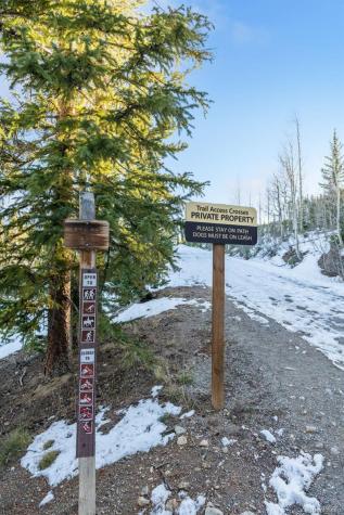 91100 Ryan Gulch Road Silverthorne CO 80498