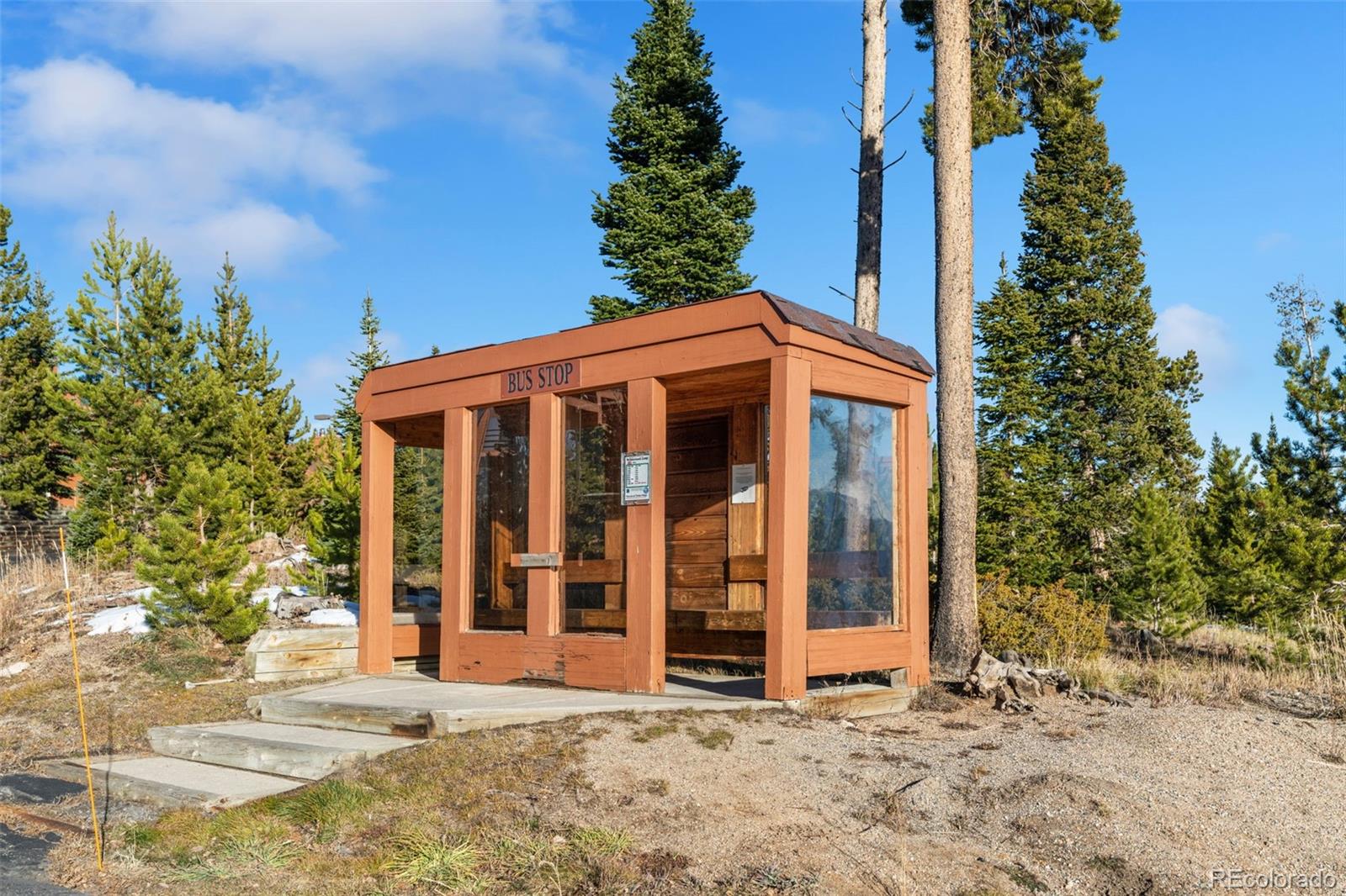 91100 Ryan Gulch Road Silverthorne CO 80498