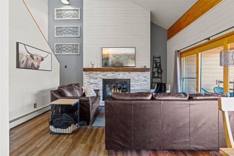 91100 Ryan Gulch Road Silverthorne CO 80498