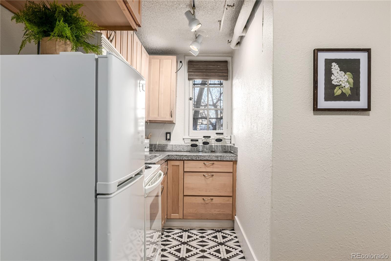 1024 E 14th Avenue Denver CO 80218